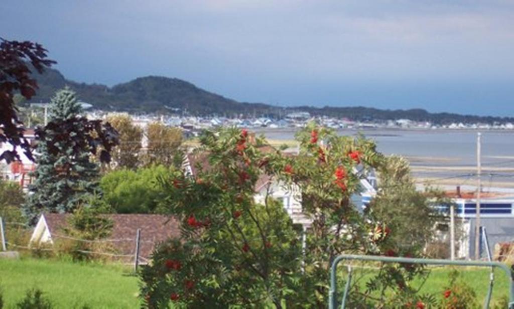 Gite La Ptite Falaise Hebergement Touristique Sainte Anne-des-Chênes Exterior foto
